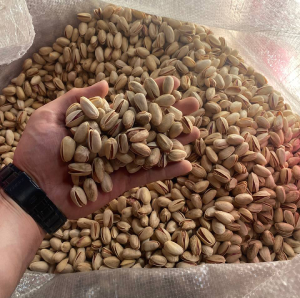 خرید و سفارش عمده